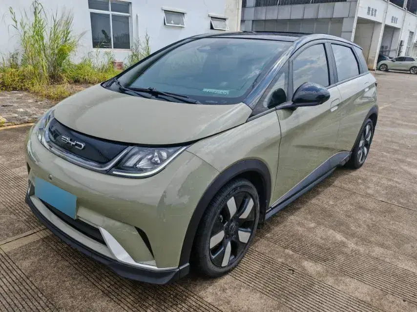 2021 BYD Dolphin BEV 44.9KWH