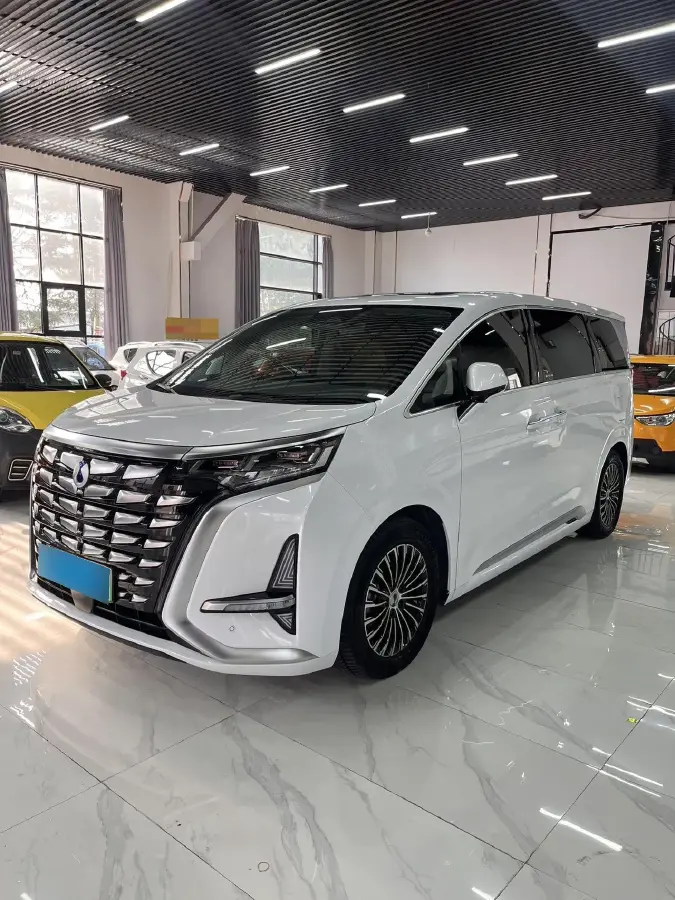 2022 Denza D9 1.5T 139HP L4 E-CVT PHEV 40.06KWH