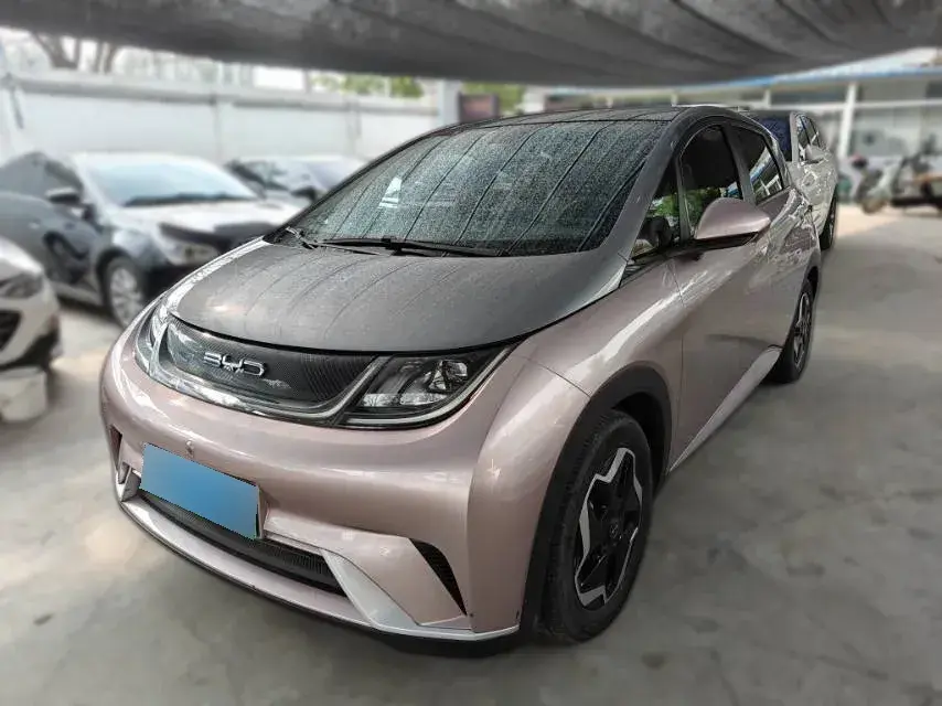 2023 BYD Dolphin BEV 44.928KWH