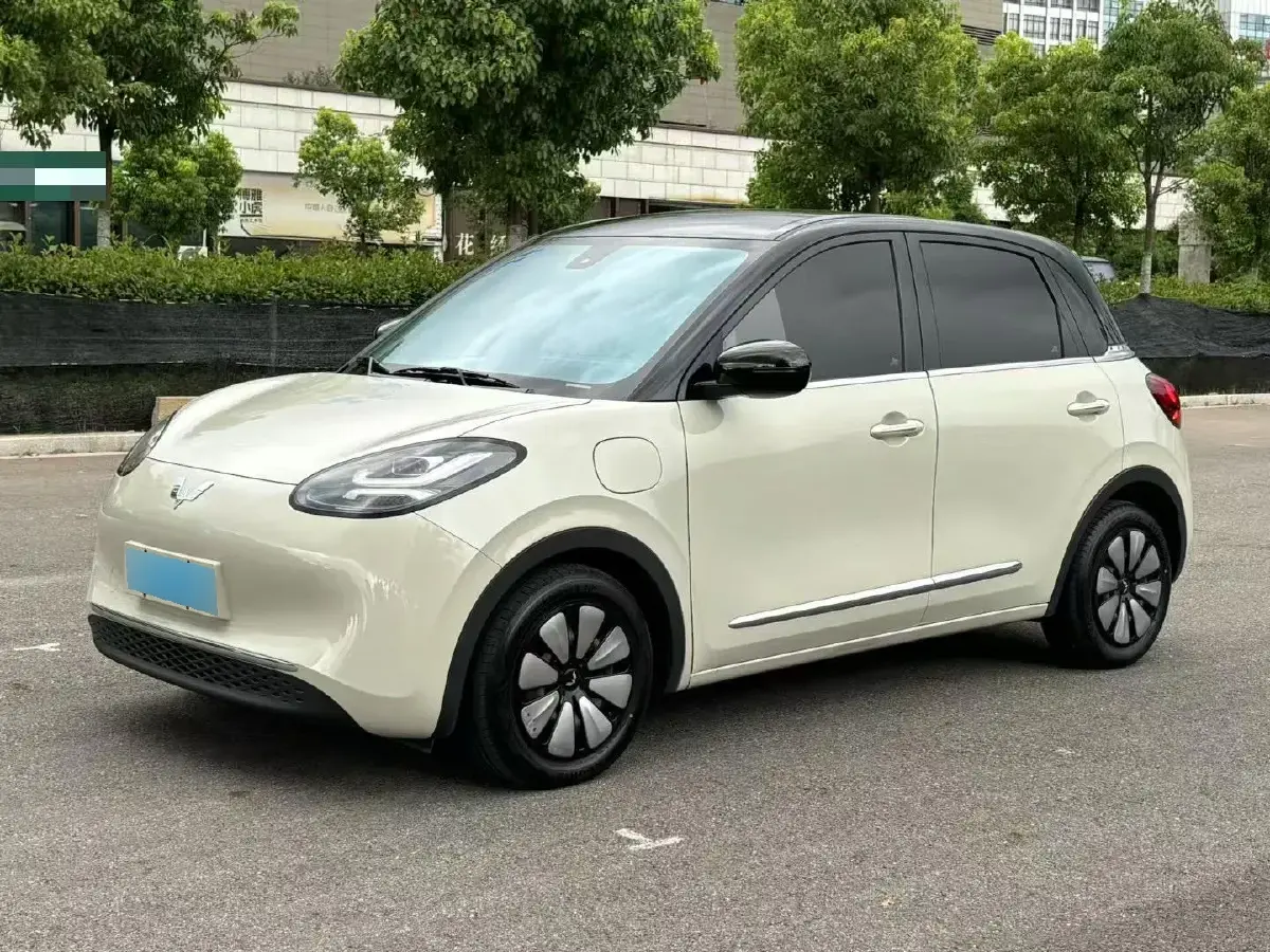 2023 WuLing BinGuo BEV 31.9KWH
