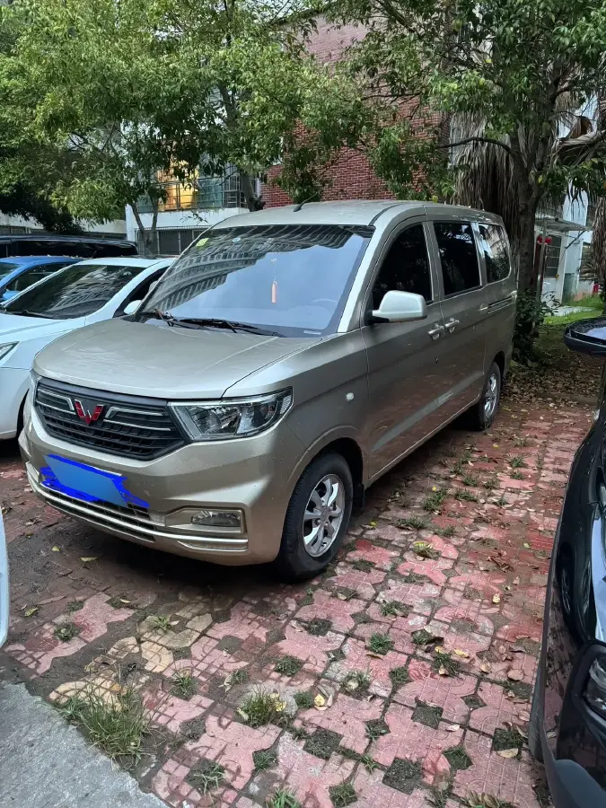 2019 WuLing HongGuang V 1.5L 105HP L4 5MT