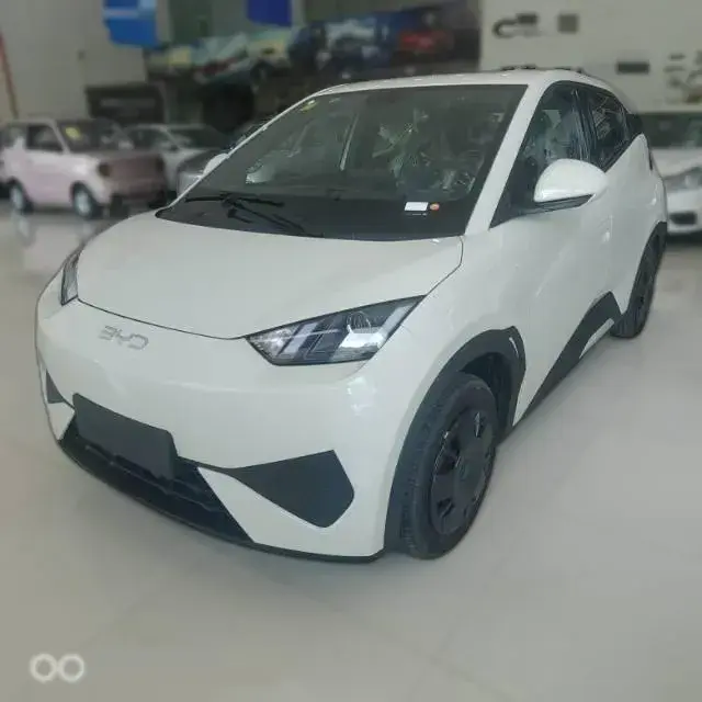 2025 BYD Seagull BEV 30.08KWH