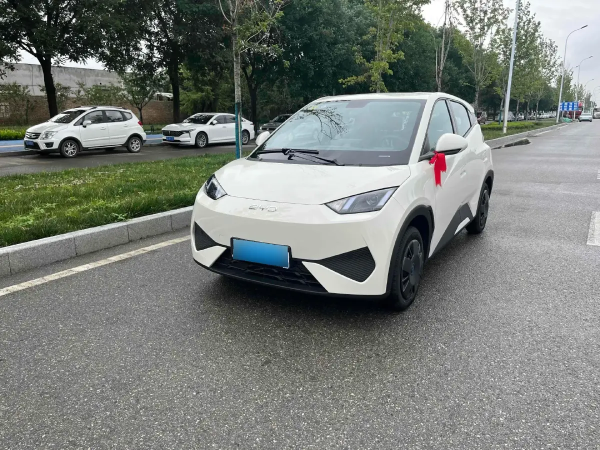 2025 BYD Seagull BEV 30.08KWH