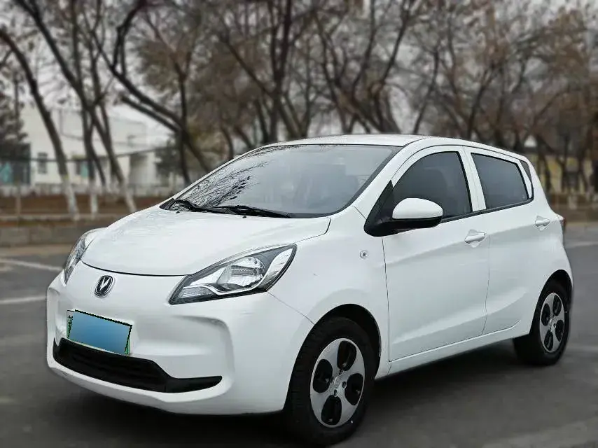 2021 ChangAn BenBen E-Star BEV 31.95KWH