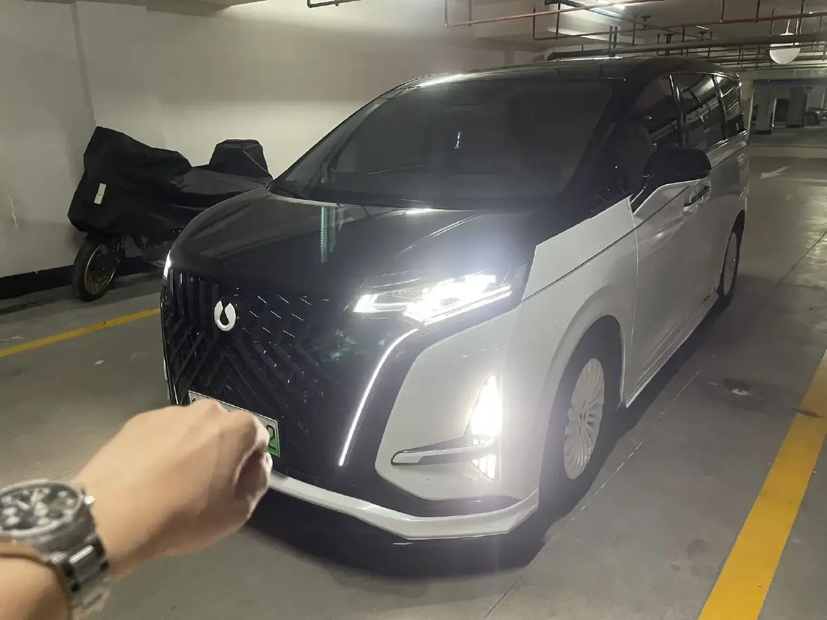 2022 Denza D9 1.5T 139HP L4 E-CVT PHEV 40.06KWH