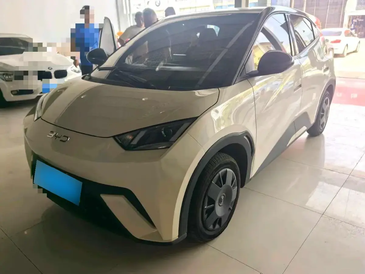 2024 BYD Seagull BEV 30.08KWH