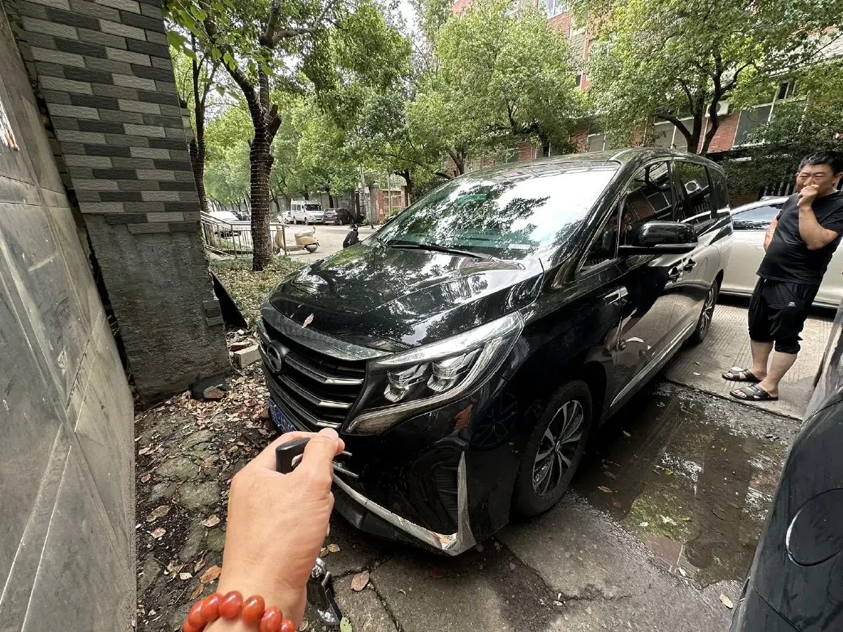 2021 GAC Trumpchi M8 2.0T 252HP L4 8AT