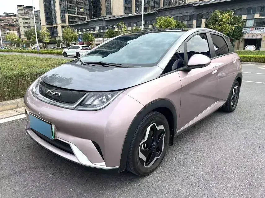 2021 BYD Dolphin BEV 44.9KWH