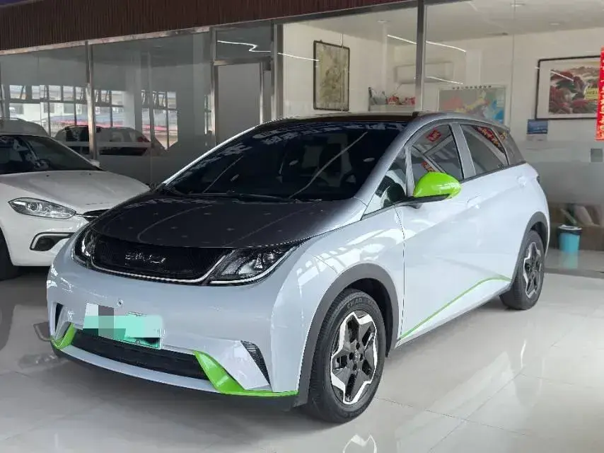 2021 BYD Dolphin BEV 44.9KWH