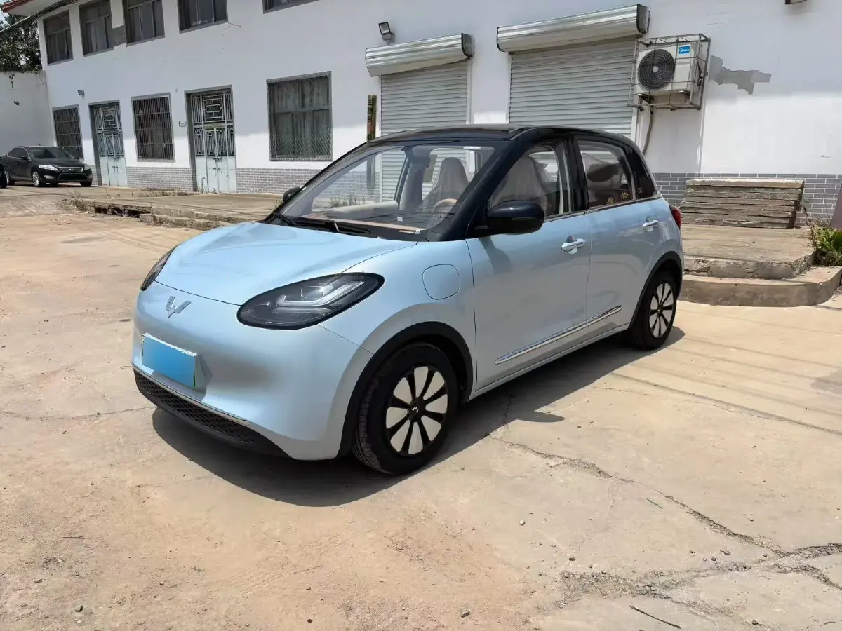 2025 WuLing BinGuo BEV