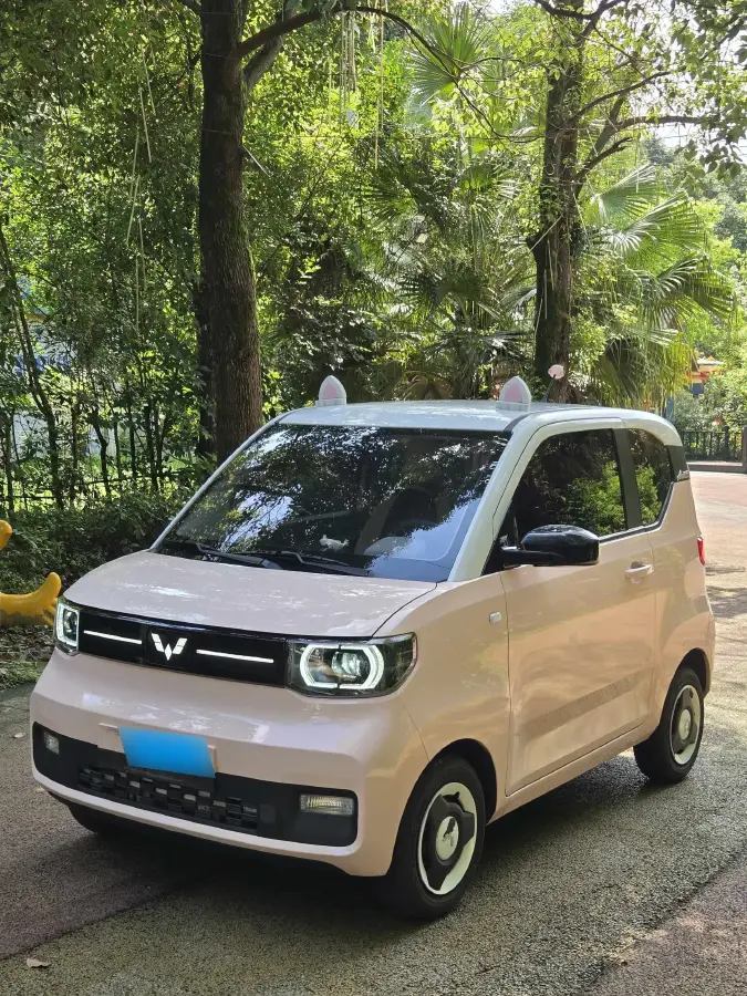 2022 WuLing HongGuang MINI EV BEV 13.9KWH