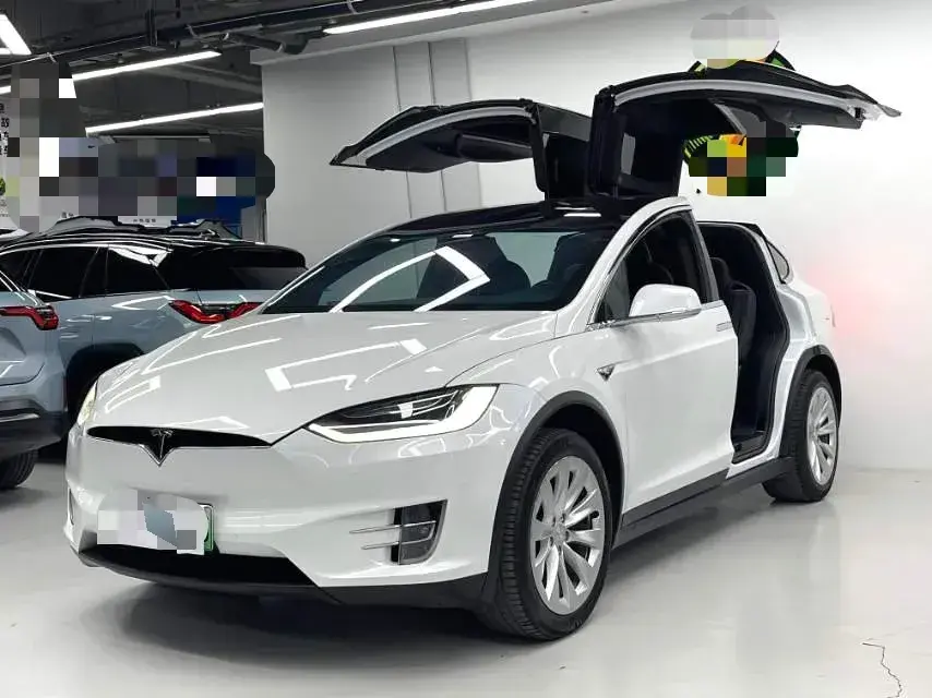2019 Tesla Model X BEV 100KWH