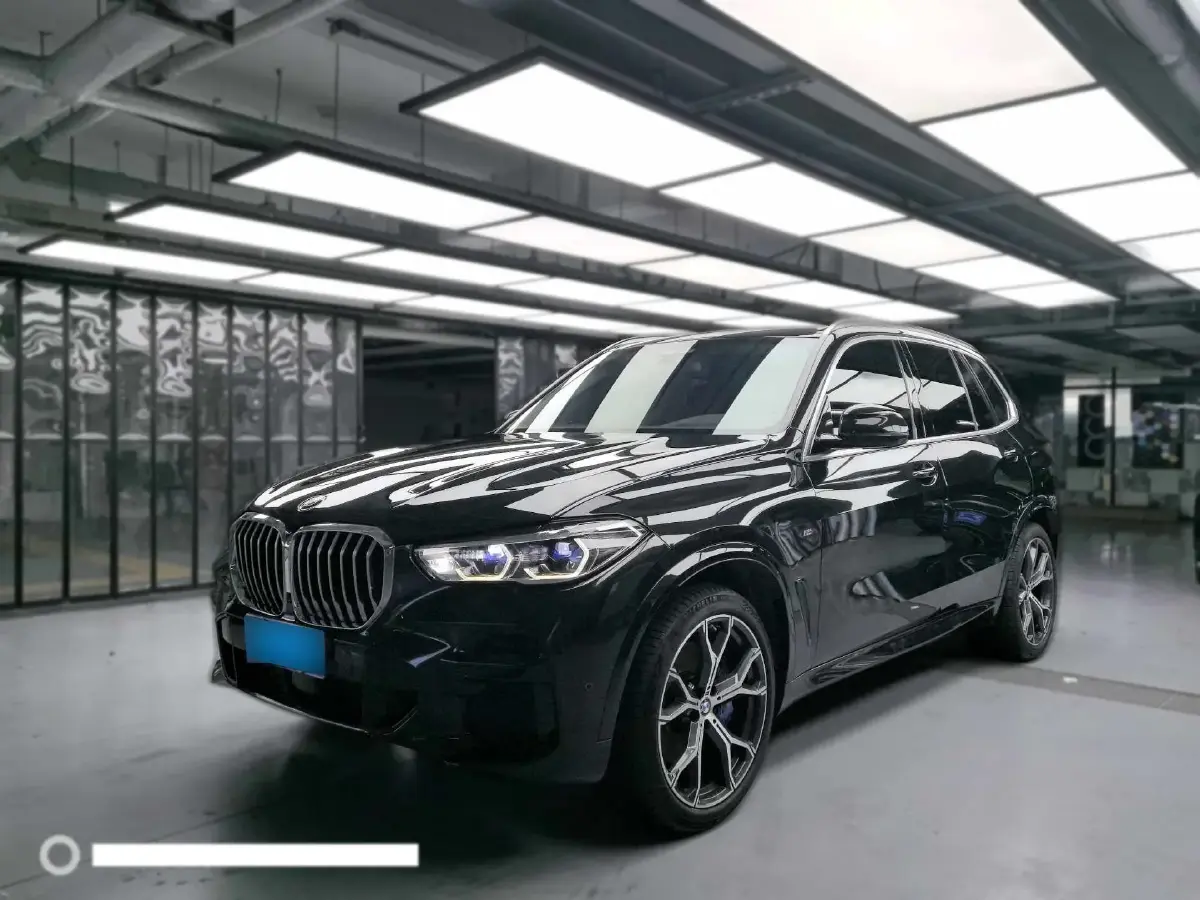 2021 BMW X5 3.0T 340HP L6 8AT