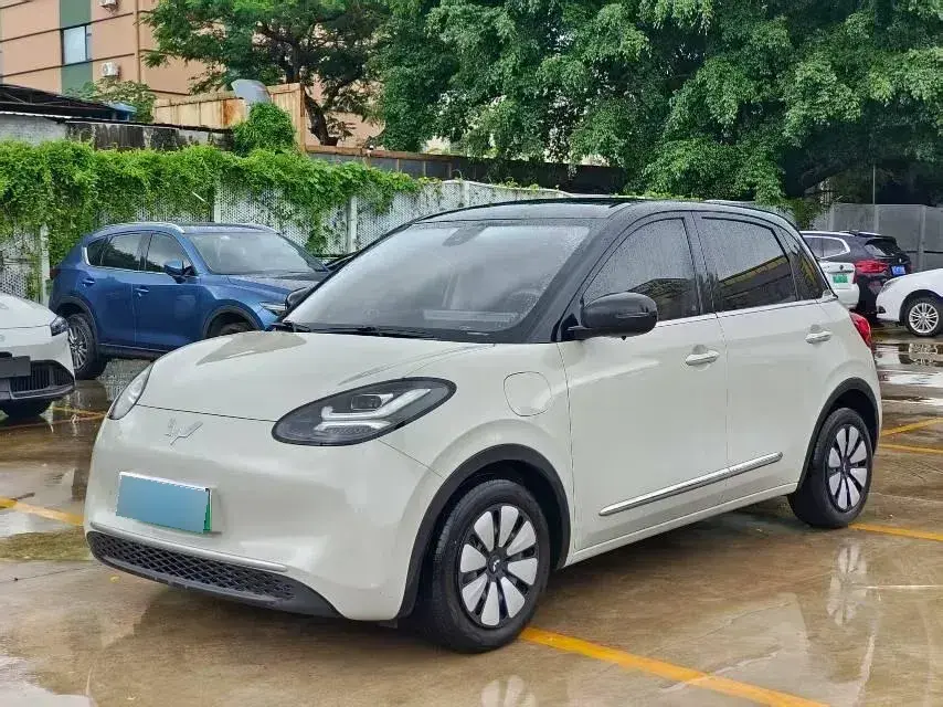 2023 WuLing BinGuo BEV 31.9KWH