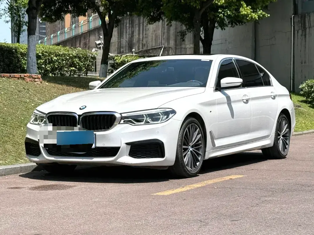 2020 BMW 5 Series 2.0T 252HP L4 8AT