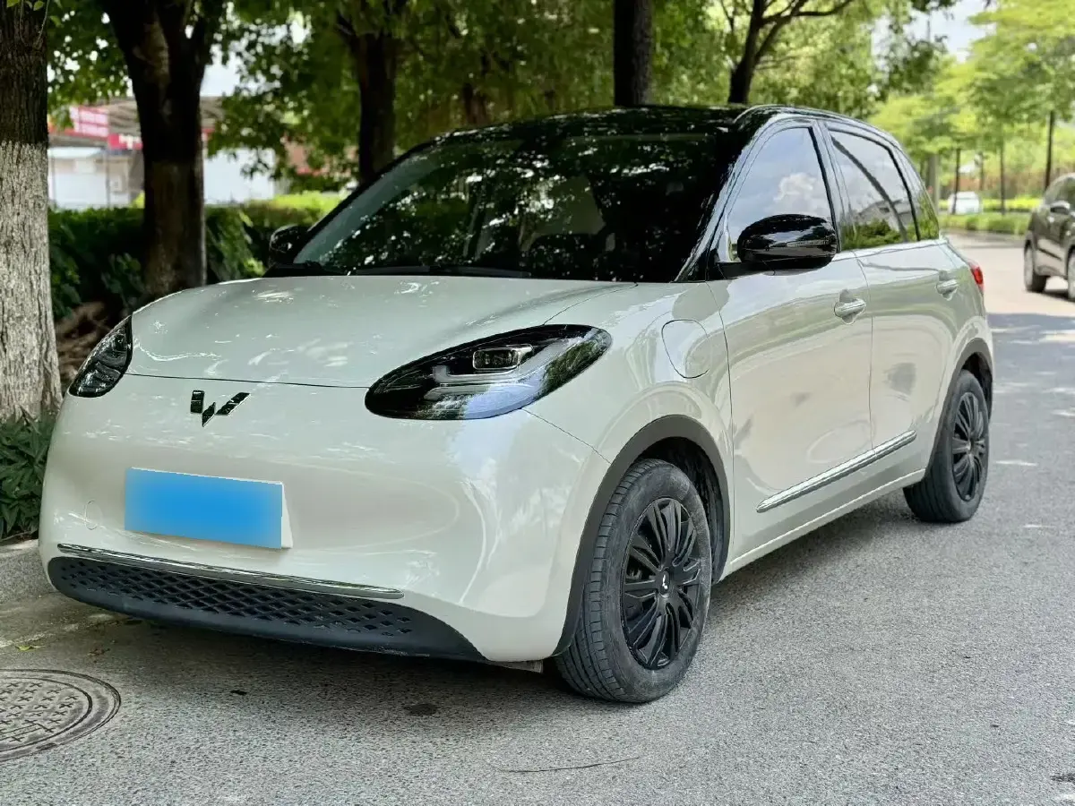 2023 WuLing BinGuo BEV 31.9KWH