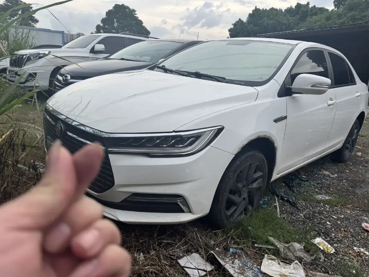 2019 BYD Qin BEV 53.1KWH