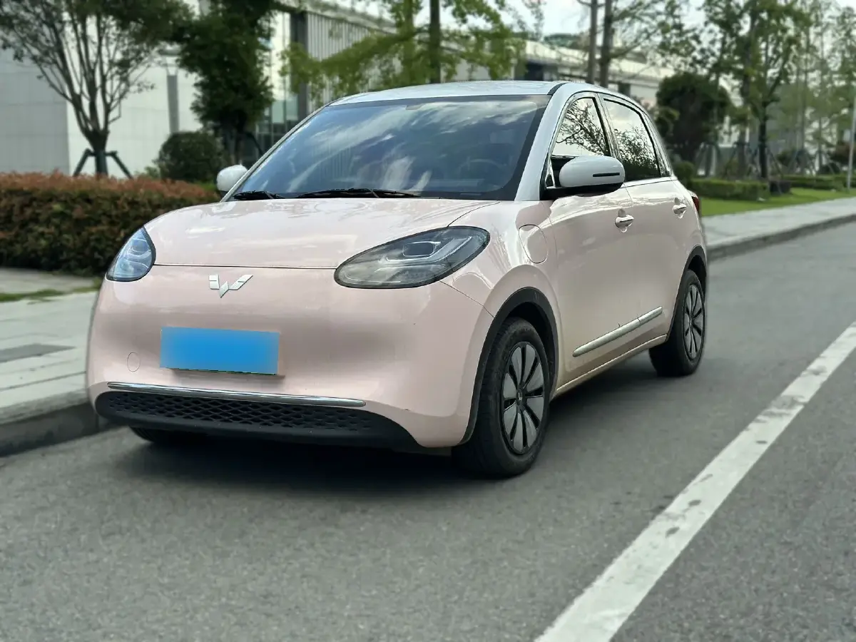 2023 WuLing BinGuo BEV 31.9KWH