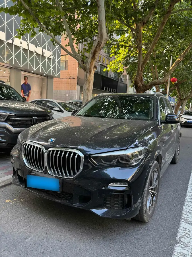 2021 BMW X5 2.0T 265HP L4 8AT