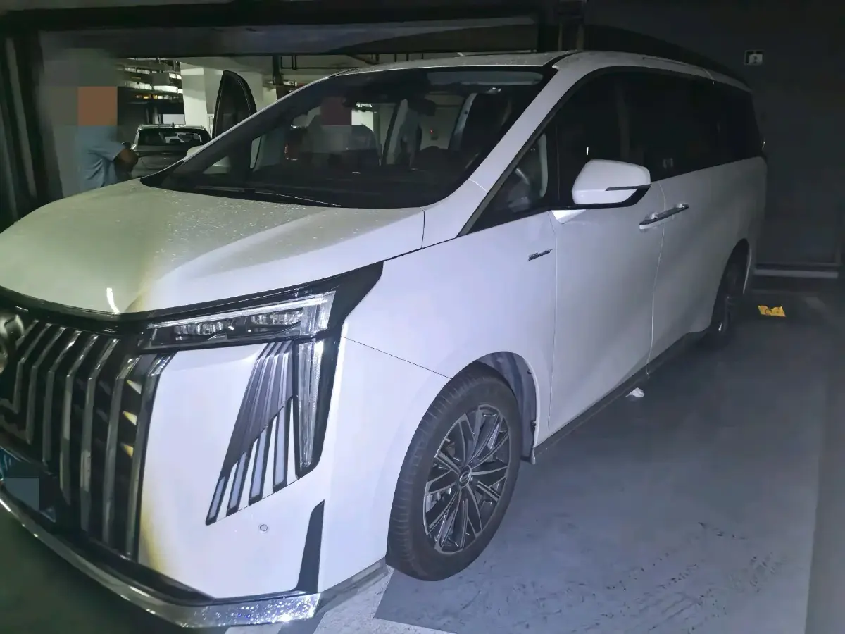 2024 GAC Trumpchi M8 2.0T 252HP L4 8AT