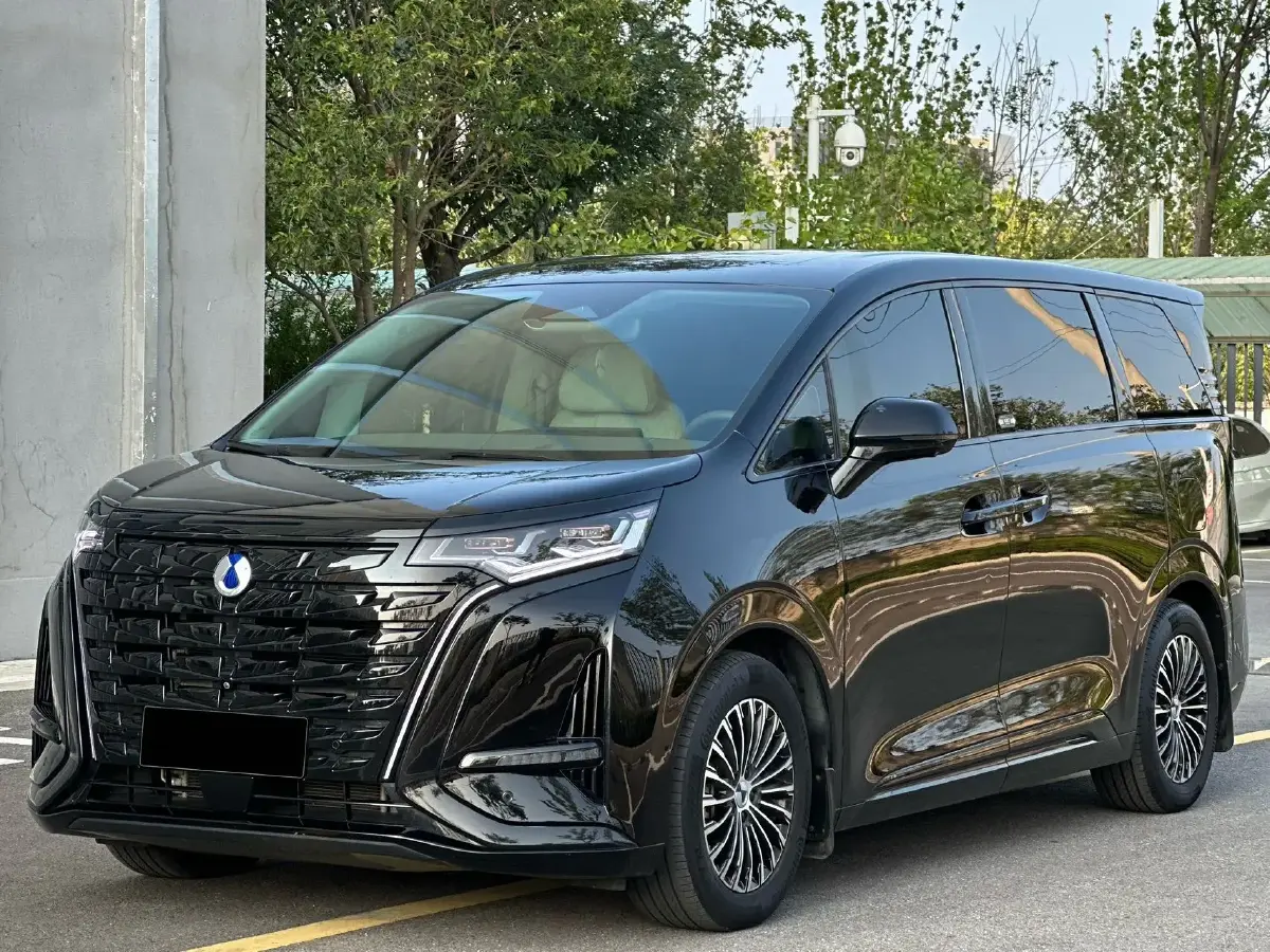 2022 Denza D9 1.5T 139HP L4 E-CVT PHEV 40.06KWH