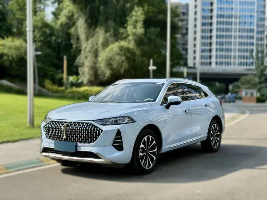 2021 WEY Mocha 2.0T 214HP L4 9DCT