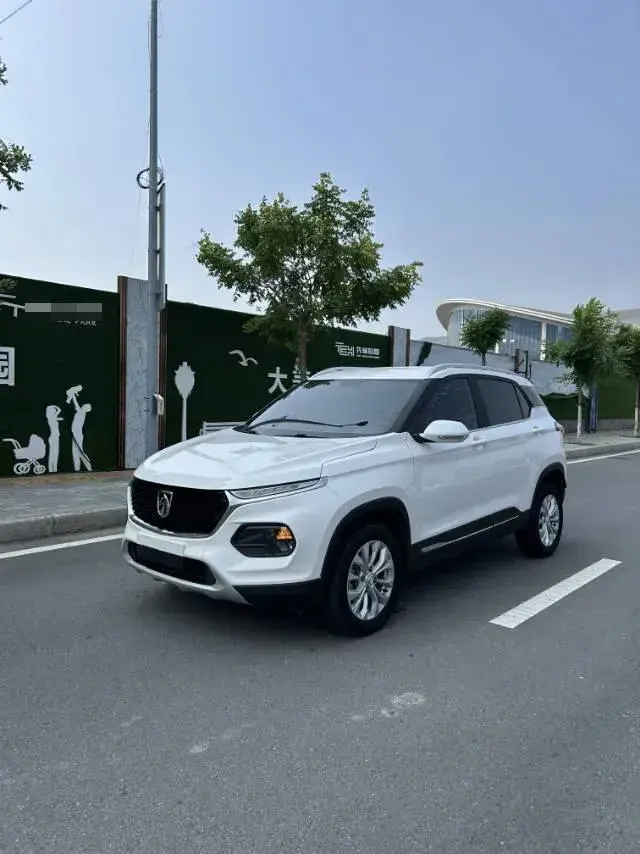 2019 BaoJun 510 1.5L 112HP L4 5AMT