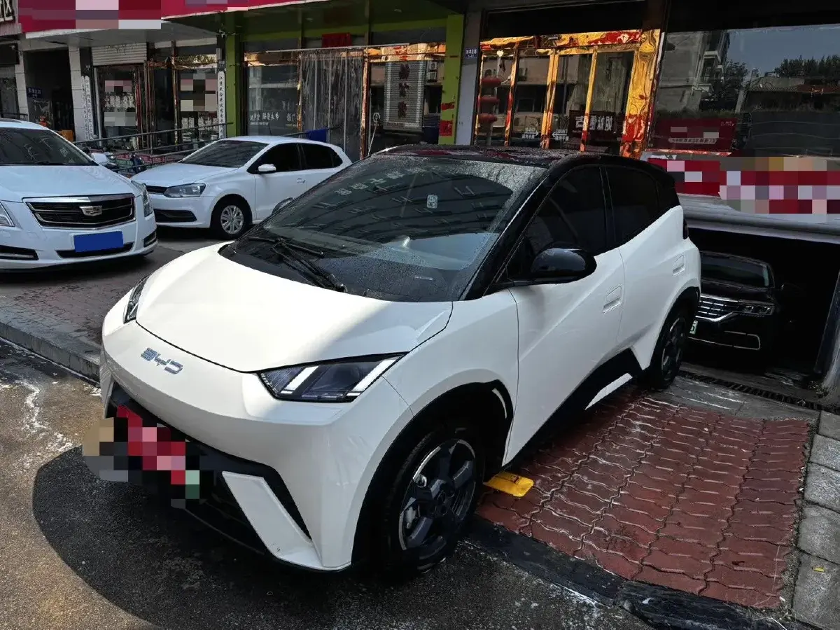 2024 BYD Seagull BEV 30.08KWH