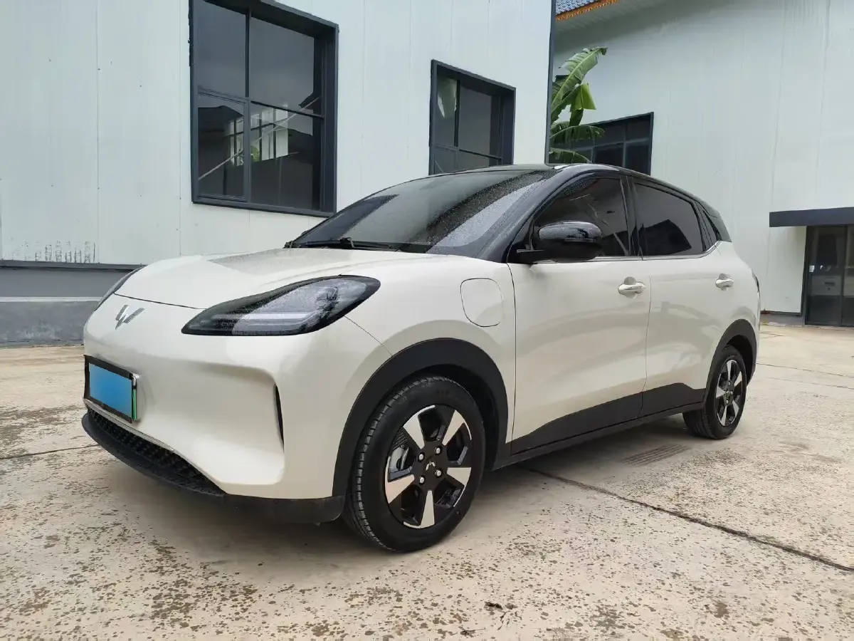 2024 WuLing BinGuoPLUS BEV 31.9KWH