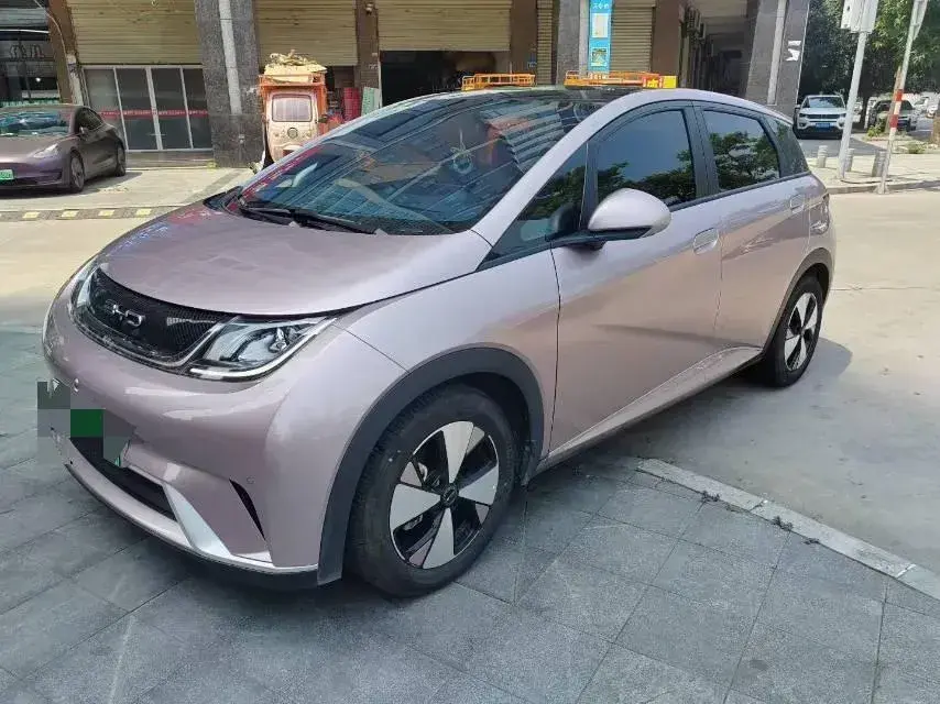 2023 BYD Dolphin BEV 44.928KWH