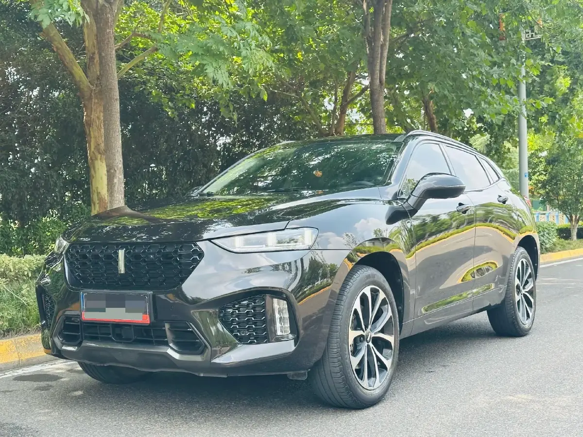 2017 WEY VV5 2.0T 197HP L4 7DCT