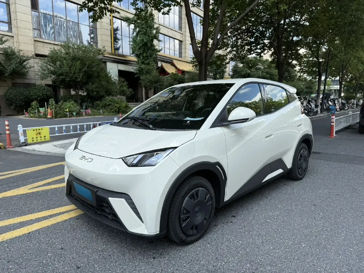2025 BYD Seagull BEV 30.08KWH