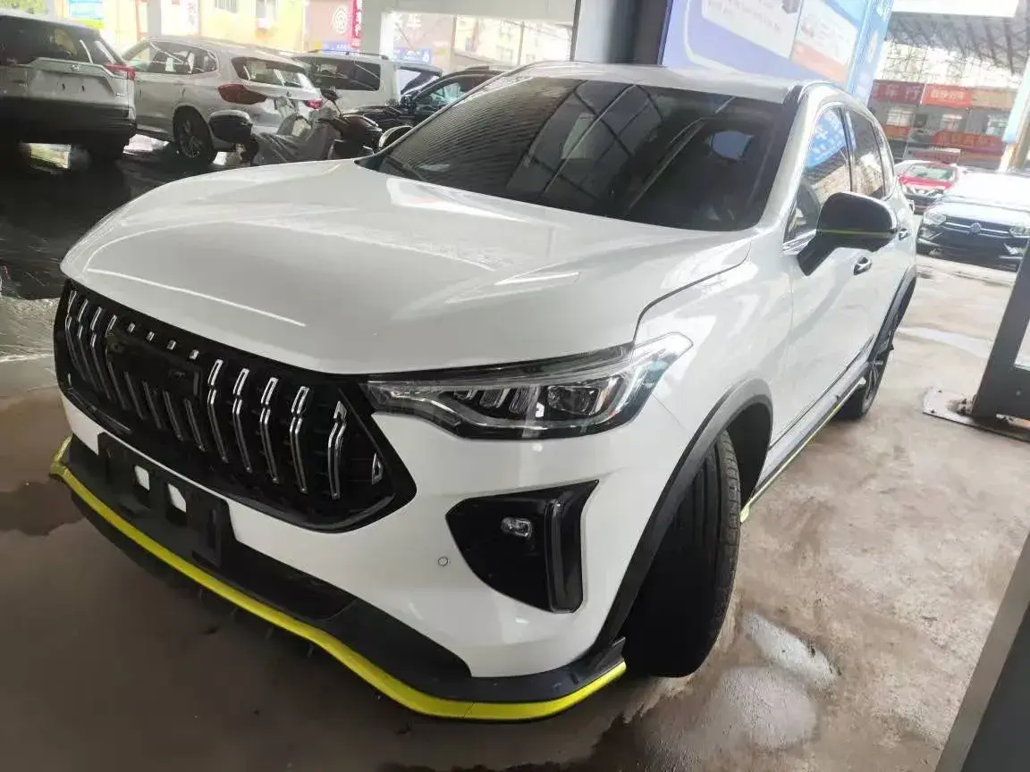 2021 Haval Rabbit 1.5T 184HP L4 7DCT