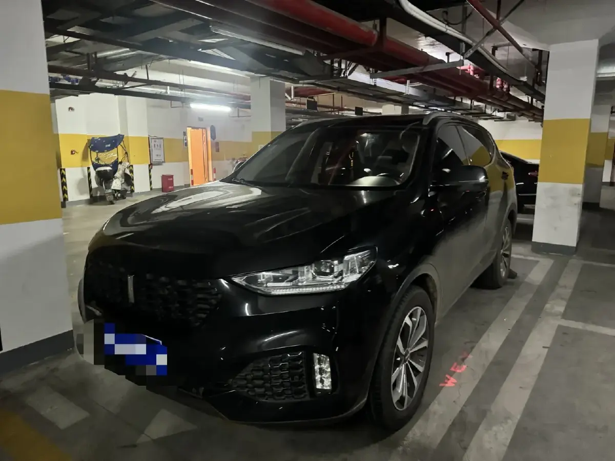 2018 WEY VV6 2.0T 197HP L4 7DCT