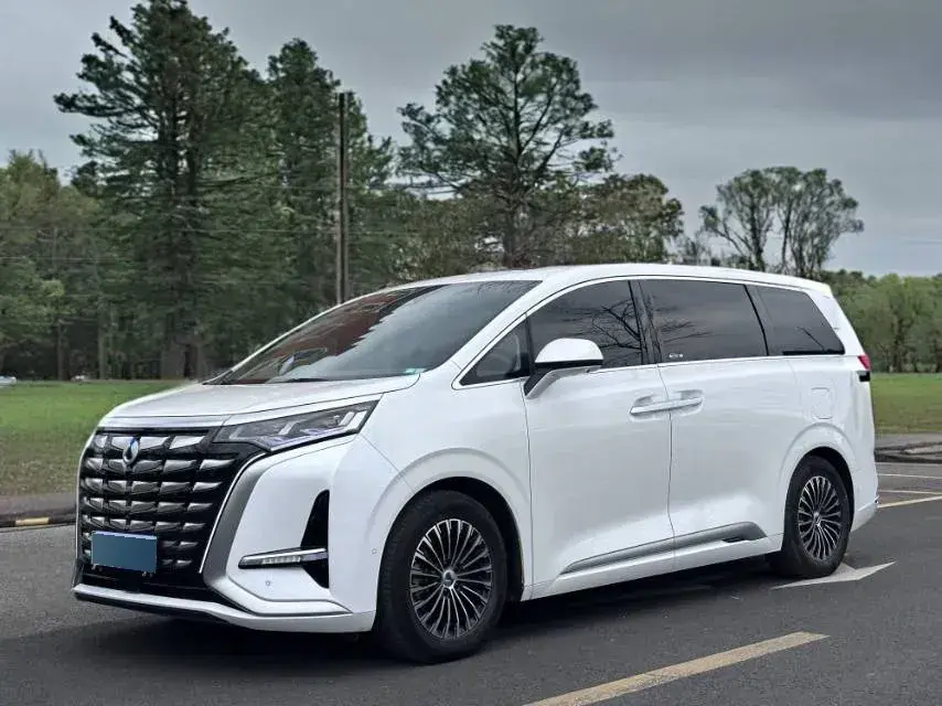 2022 Denza D9 1.5T 139HP L4 E-CVT PHEV 40.06KWH