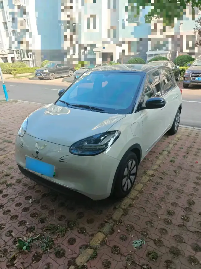 2025 WuLing BinGuo BEV