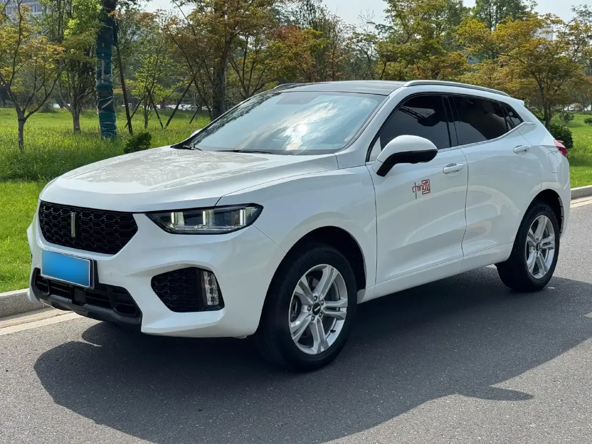 2019 WEY VV5 1.5T 169HP L4 7DCT