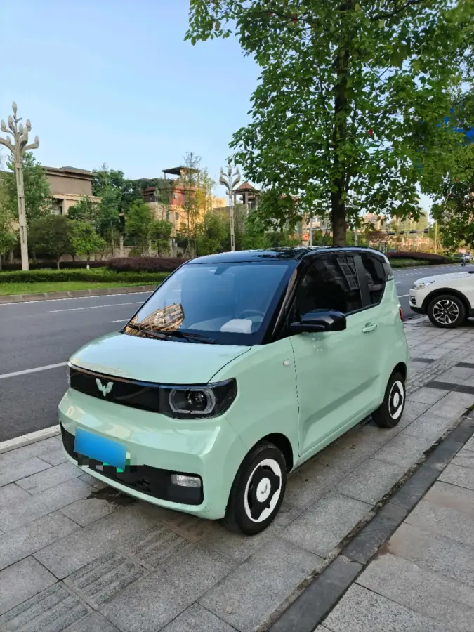 2021 WuLing HongGuang MINI EV BEV 13.8KWH