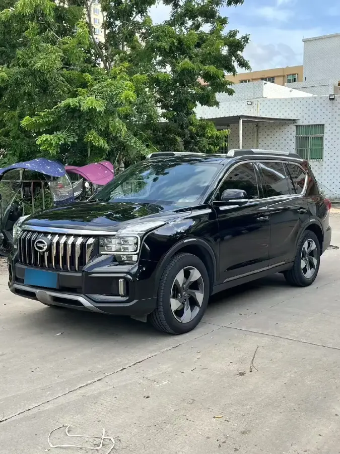 2020 GAC Trumpchi GS8 2.0T 252HP L4 6AT