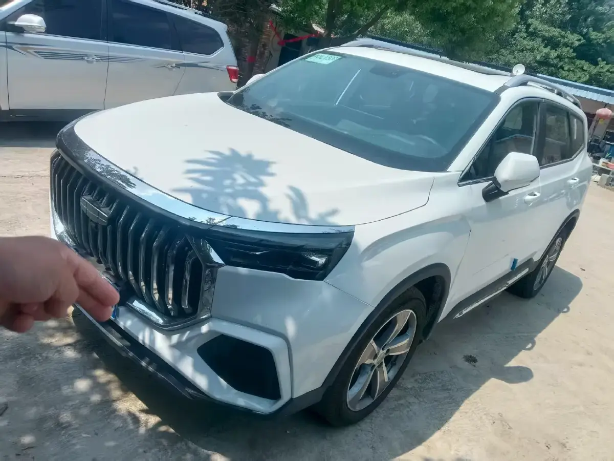 2024 Geely Okavango L 2.0T 218HP L4 7DCT