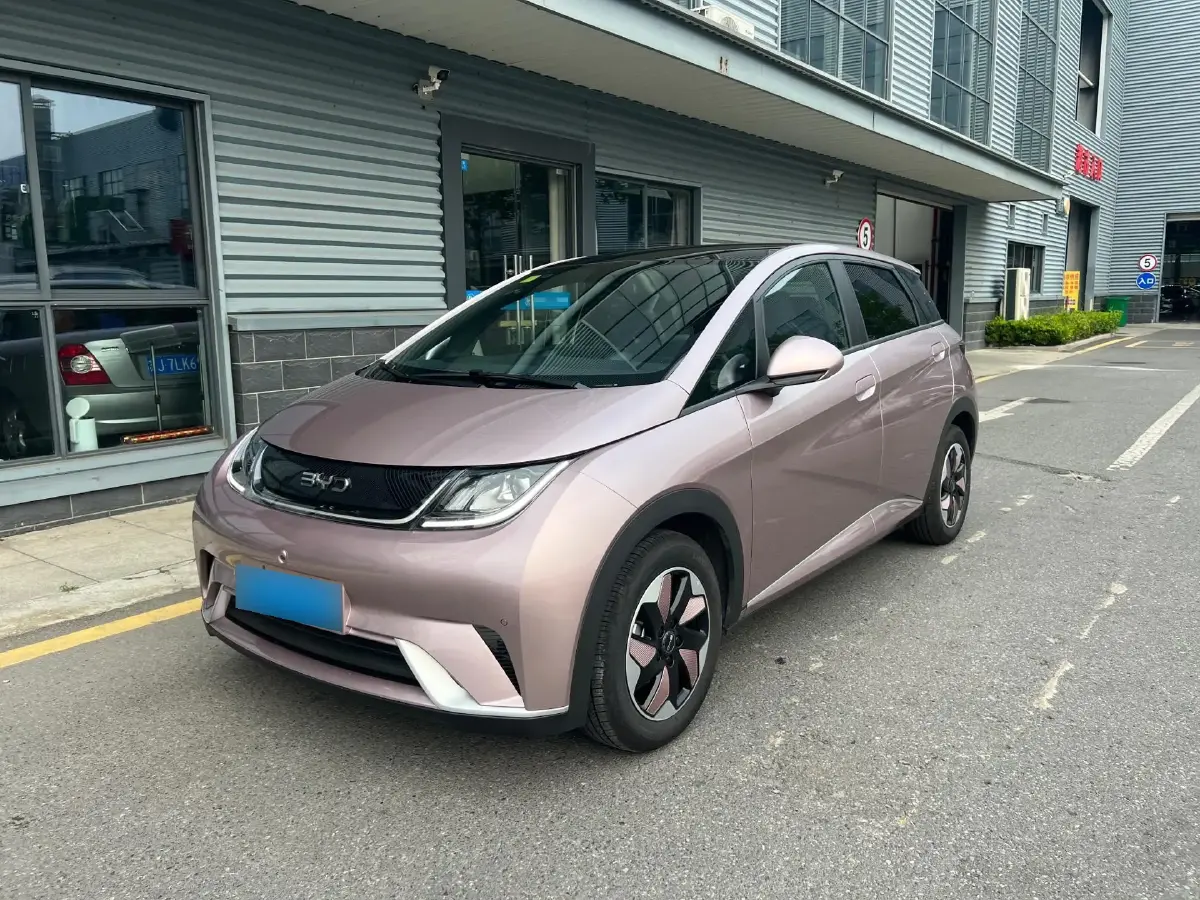 2025 BYD Dolphin BEV 44.928KWH