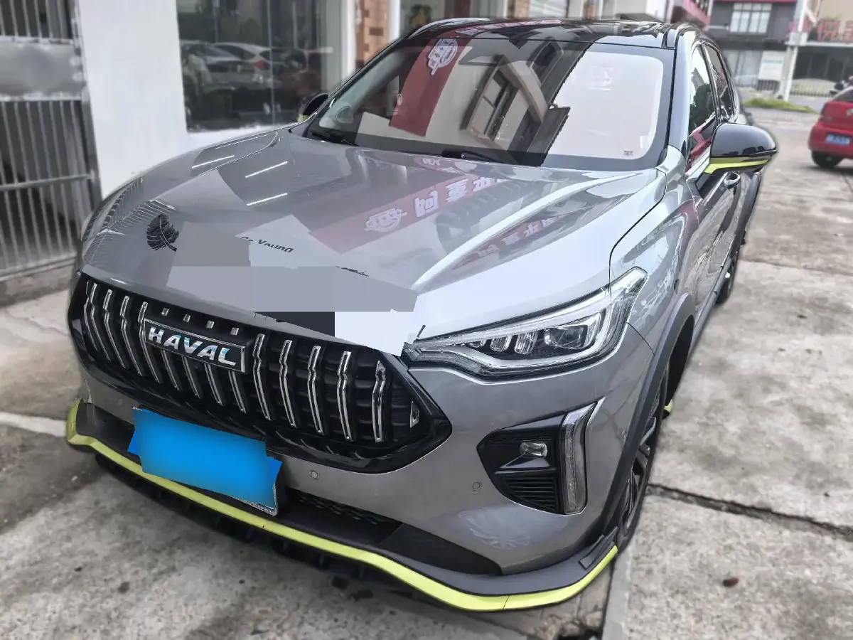 2021 Haval Rabbit 1.5T 184HP L4 7DCT