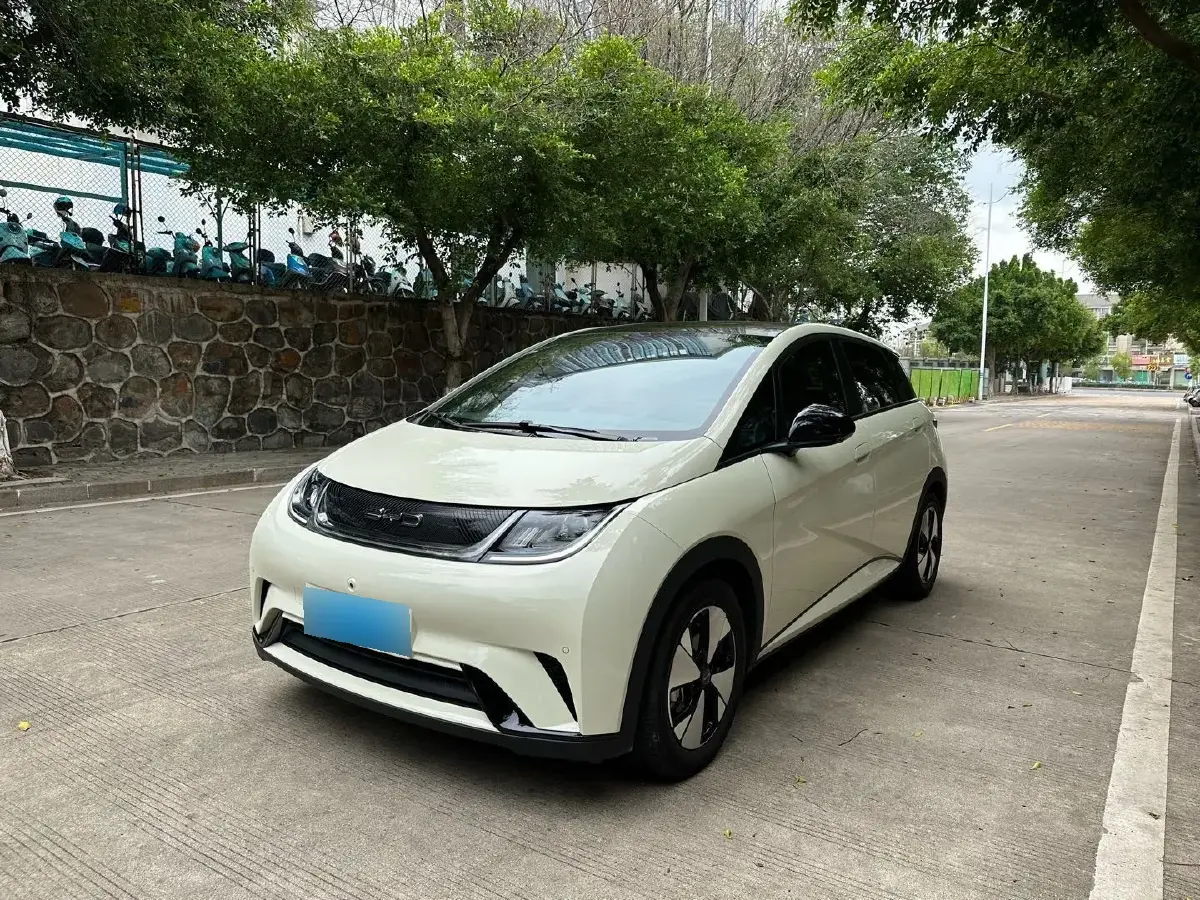 2023 BYD Dolphin BEV 44.928KWH