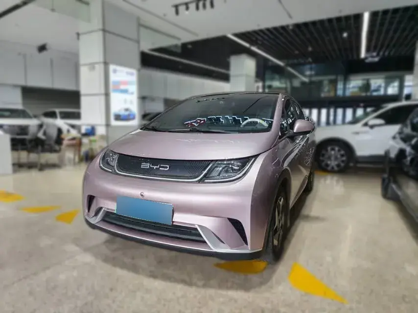 2021 BYD Dolphin BEV 44.9KWH