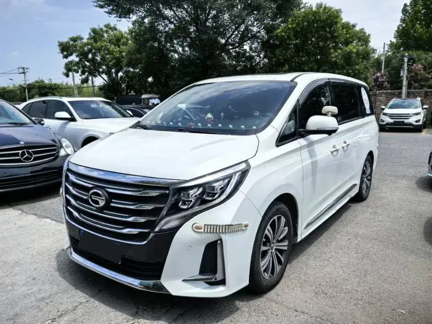 2021 GAC Trumpchi M8 2.0T 252HP L4 8AT