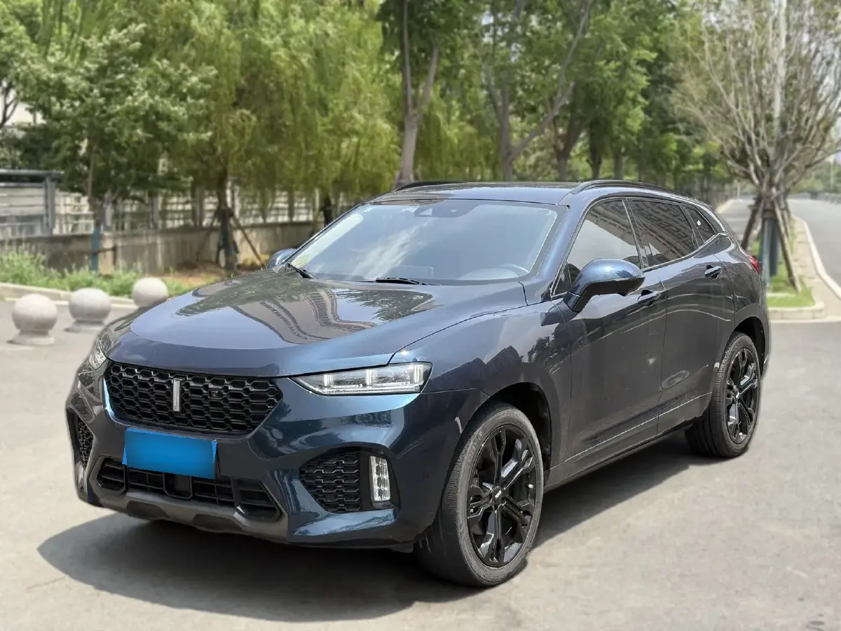 2019 WEY VV7 2.0T 234HP L4 7DCT