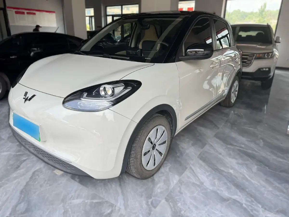 2023 WuLing BinGuo BEV 17.3KWH