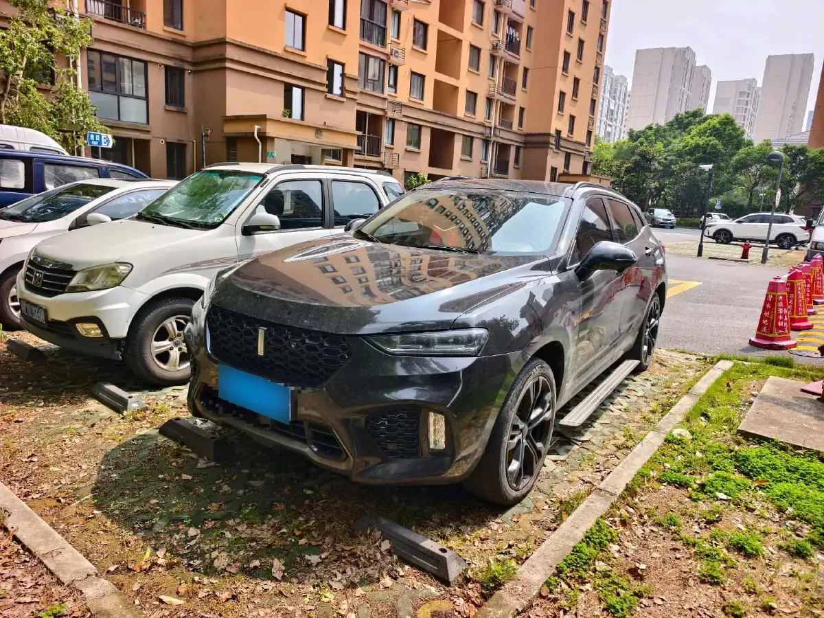 2019 WEY VV7 2.0T 227HP L4 7DCT