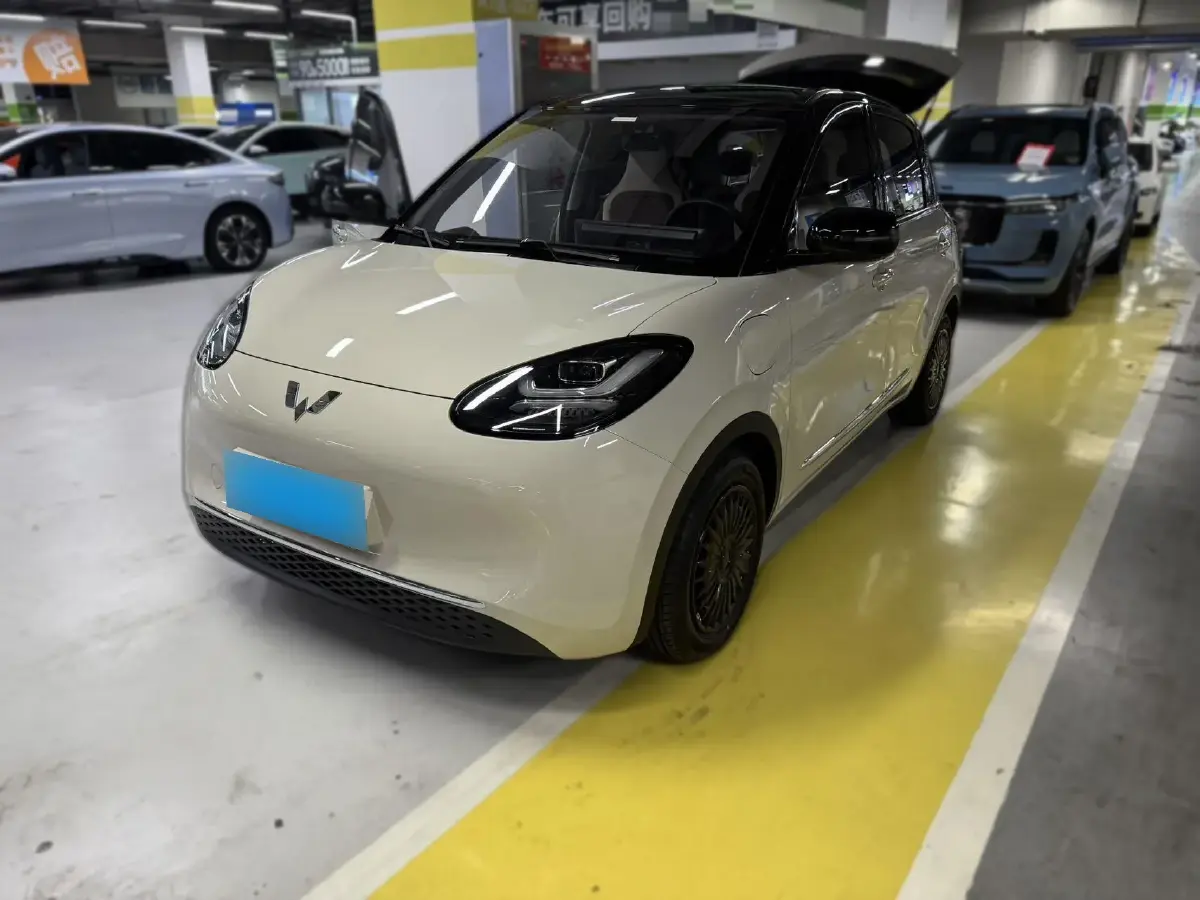 2024 WuLing BinGuo BEV 31.9KWH