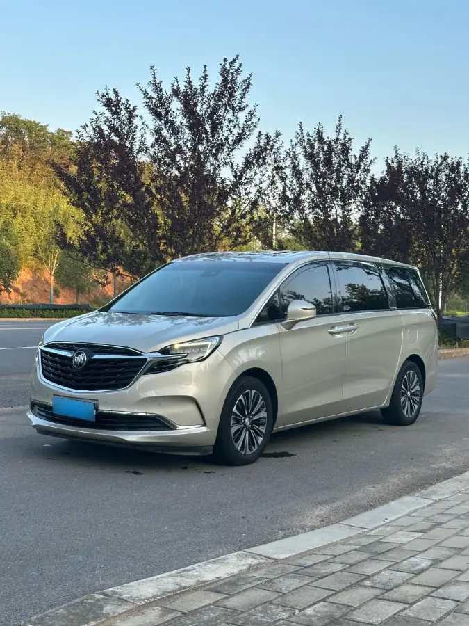 2020 Buick GL8 2.0T 237HP L4 9AT